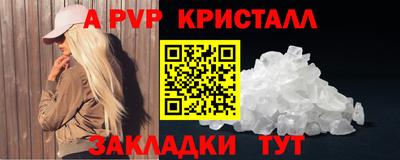 твердый Кингисепп
