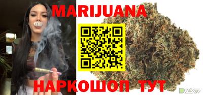 твердый Кингисепп