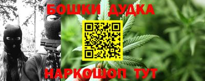 стаф Кинель