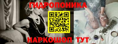 твердый Кингисепп