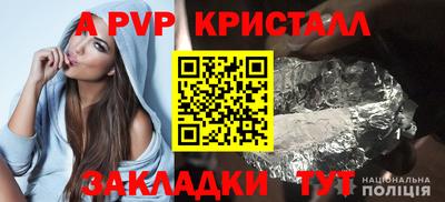твердый Кингисепп