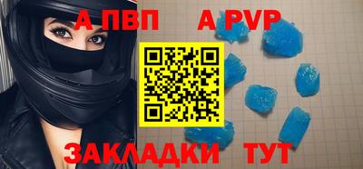 твердый Кингисепп